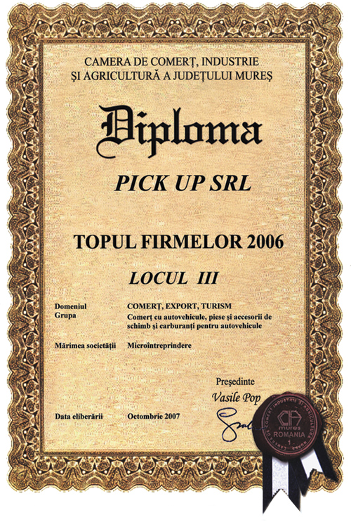 Pick up in Topul Firmelor 2006